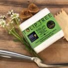 Tulip Tree Creamery - Trillium - Triple Cream Bloomy Rind 0