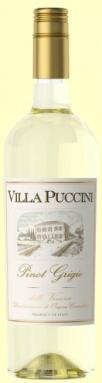Villa Puccini - Pinot Grigio Delle Venezie 2023