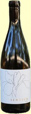 Continuum - Sauvignon Blanc Sentium 2023